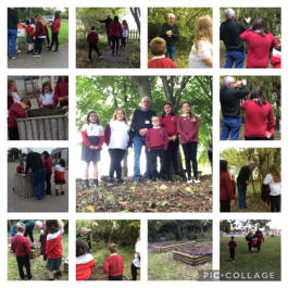Ysgol Maes Owen