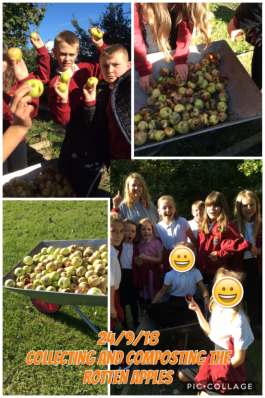 Ysgol Maes Owen
