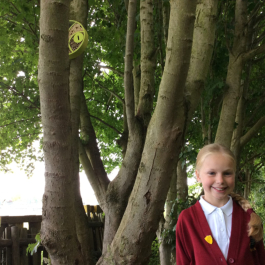 Ysgol Maes Owen