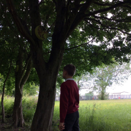 Ysgol Maes Owen
