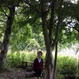 Ysgol Maes Owen